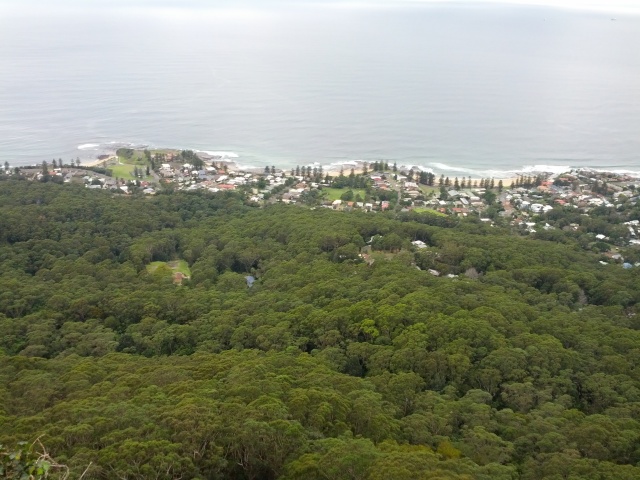 Looking down over Austinmer where James & Margaret Hicks lived with their family